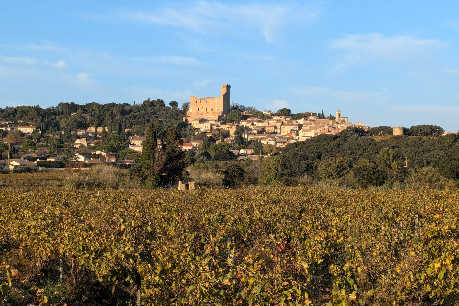 Châteauneuf du Pape